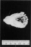 566-1