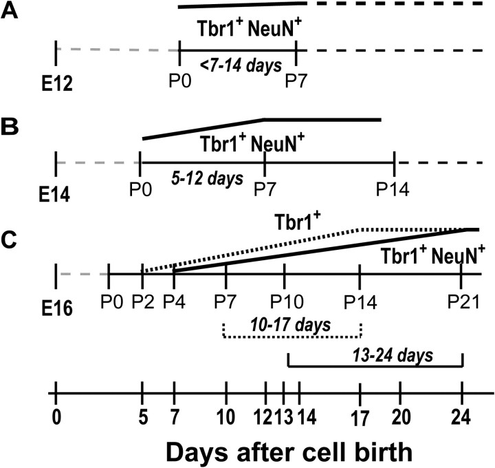 Figure 10.