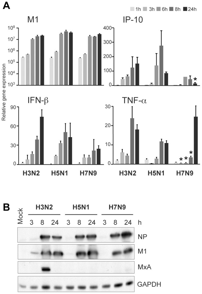 Figure 5
