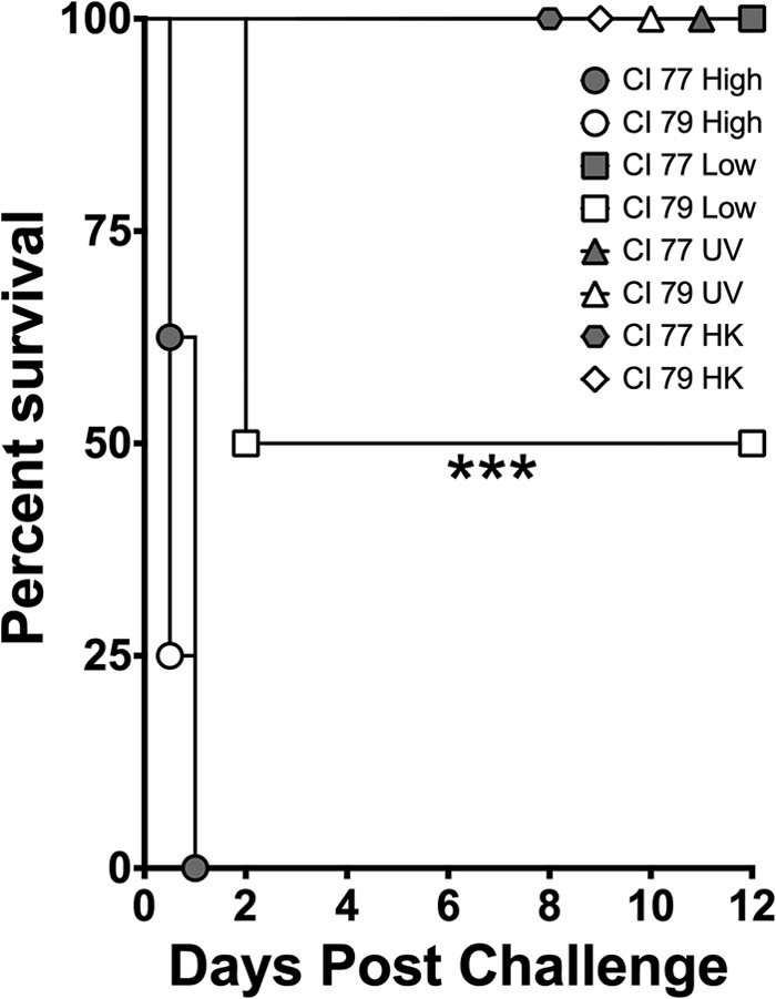 FIG 2