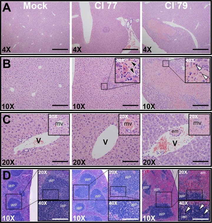 FIG 4