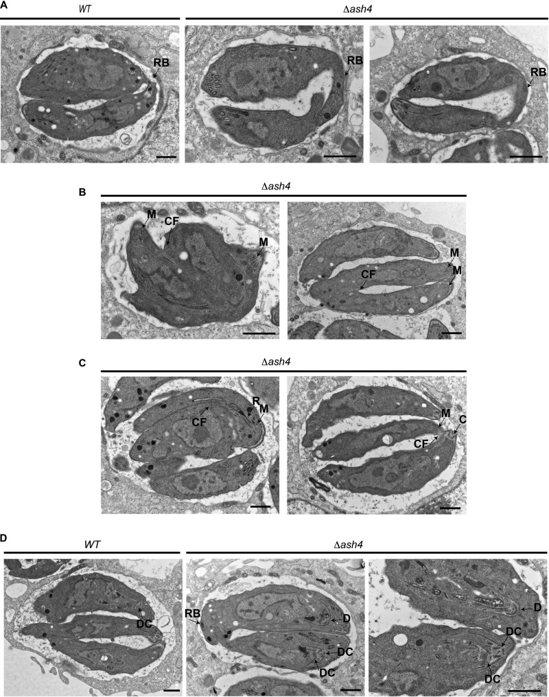 FIG 6