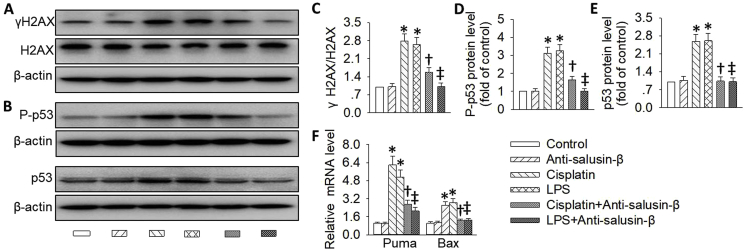 Fig. 9