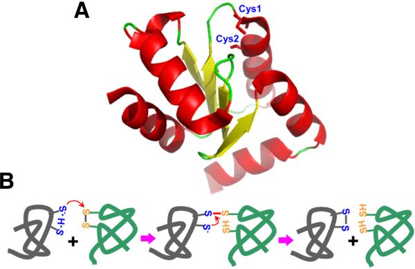 Fig. 2