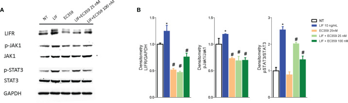 Figure 7