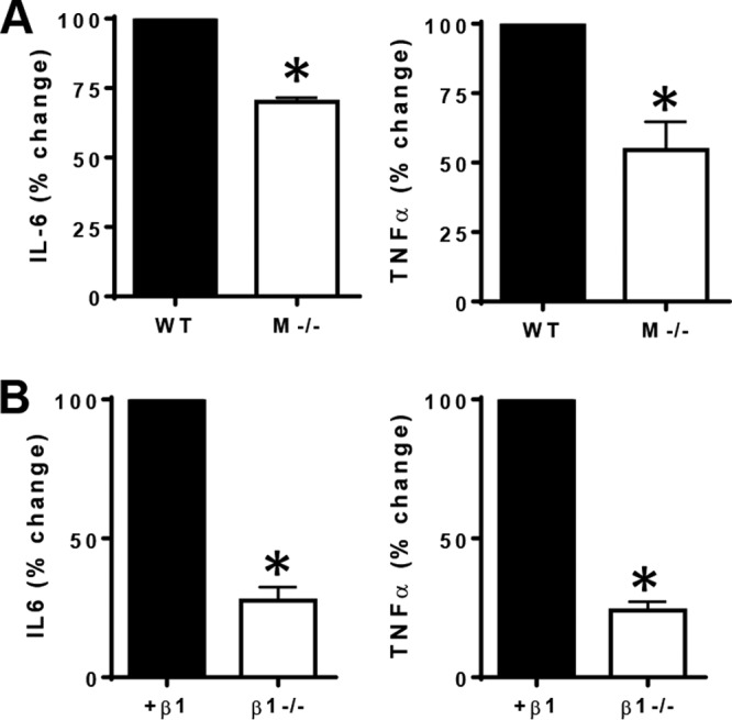 FIG 1