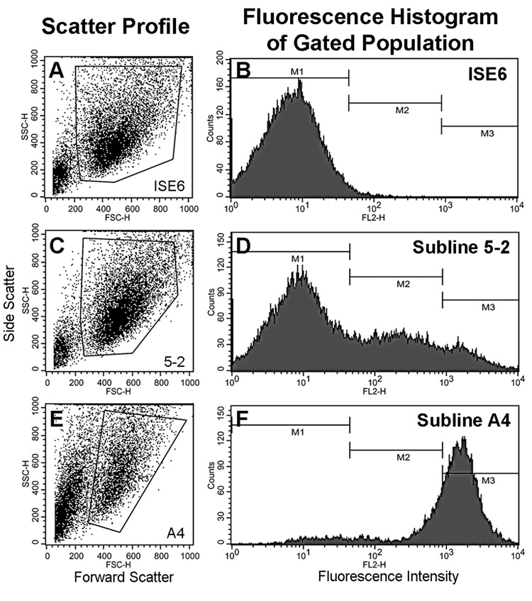 Fig. 3