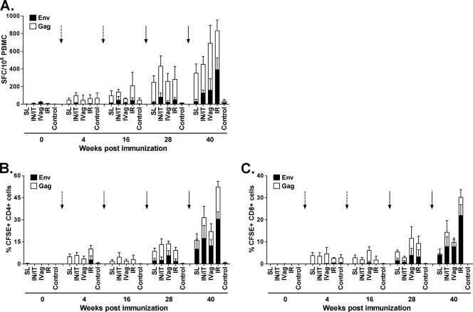 Fig 6