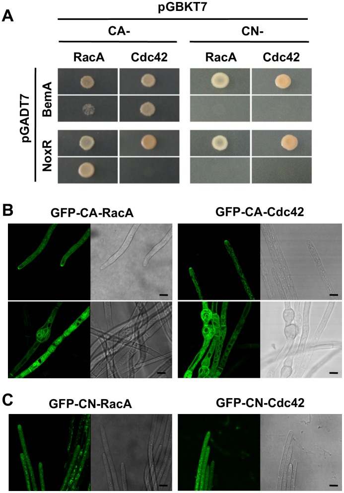 Fig 4