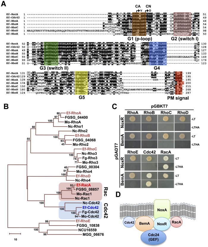 Fig 2