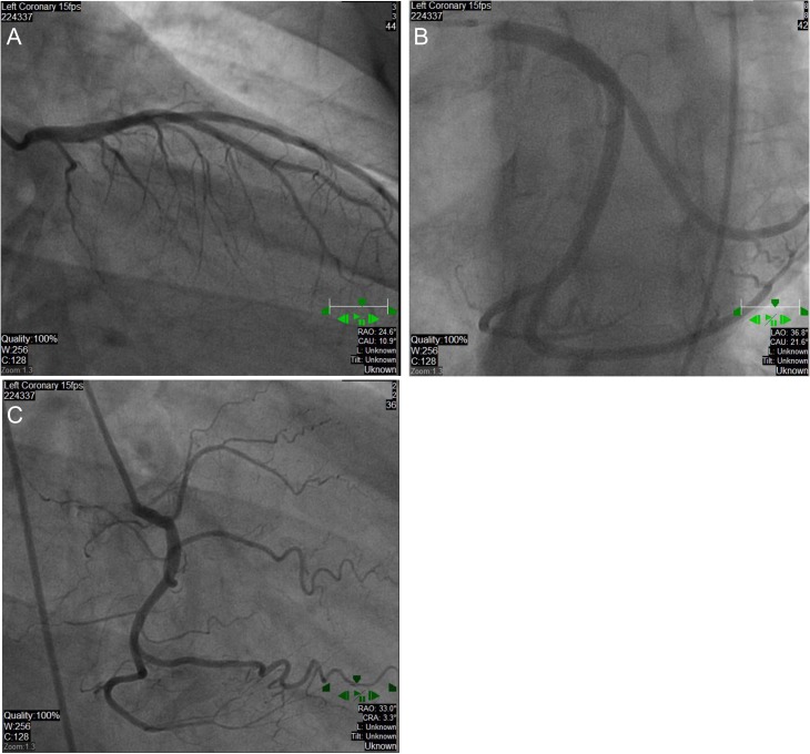 Figure 3: