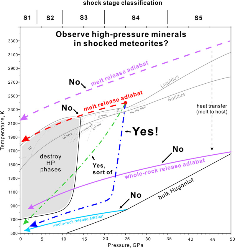 graphic file with name 40645_2021_463_Figa_HTML.jpg