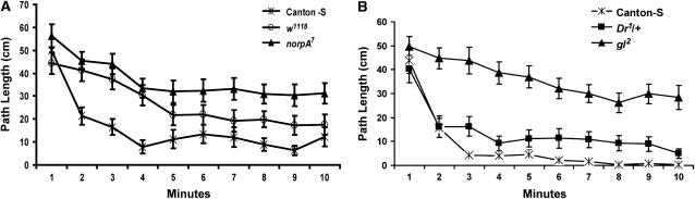 Figure 6.—