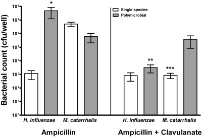 FIG 2 