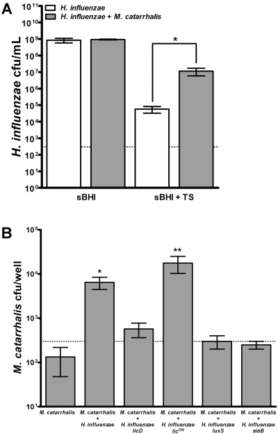 FIG 3 