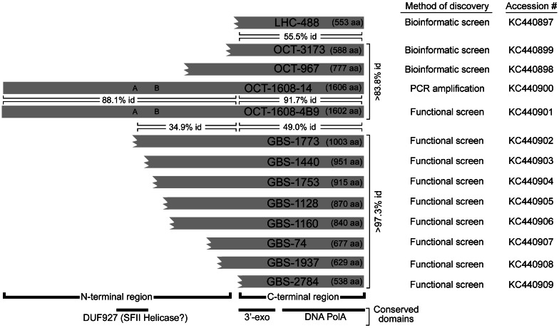 Fig. 2.