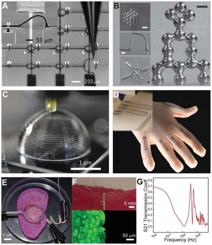 Figure 11