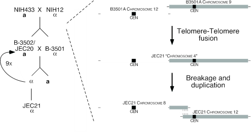 FIG. 4.