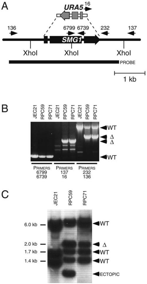 FIG. 3.