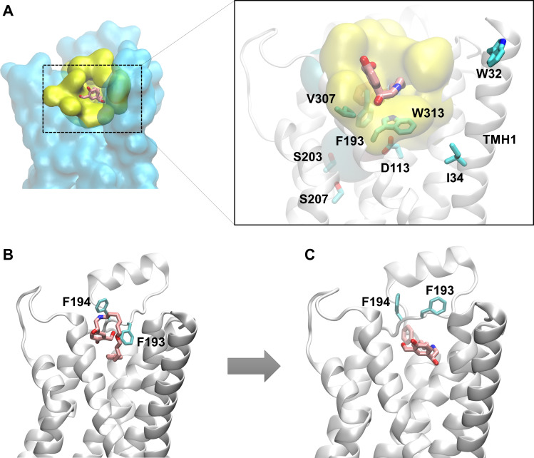 Fig. 3.