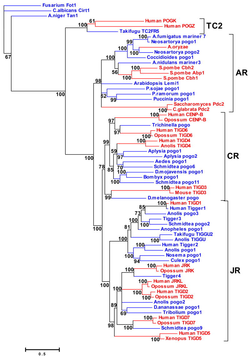 Figure 2