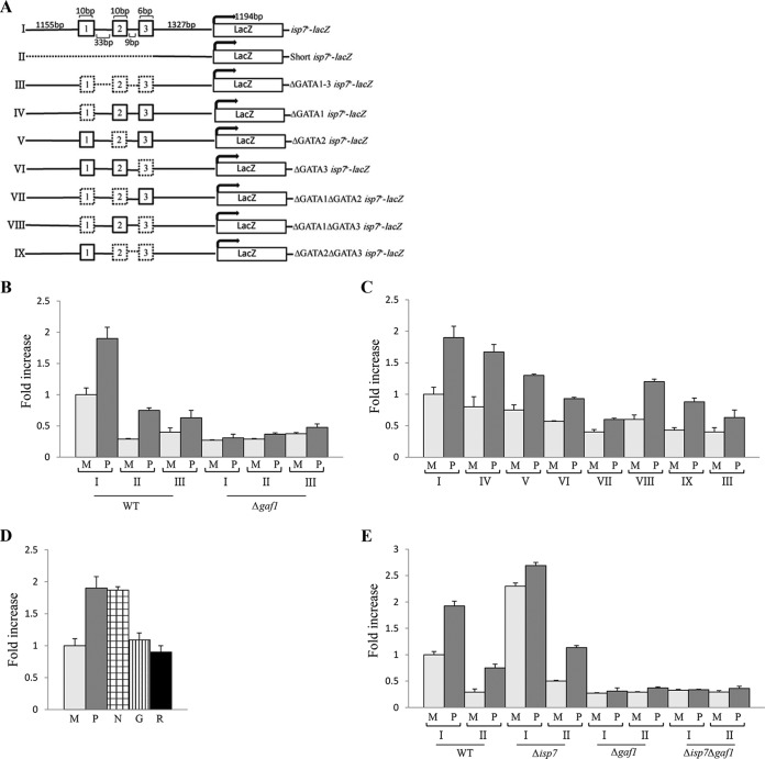 FIG 3 