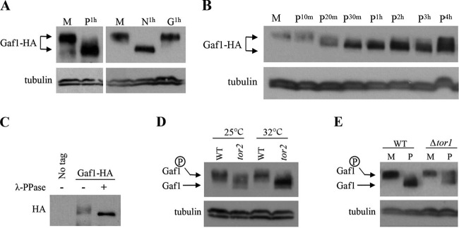 FIG 6 