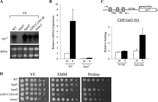 FIG 1 