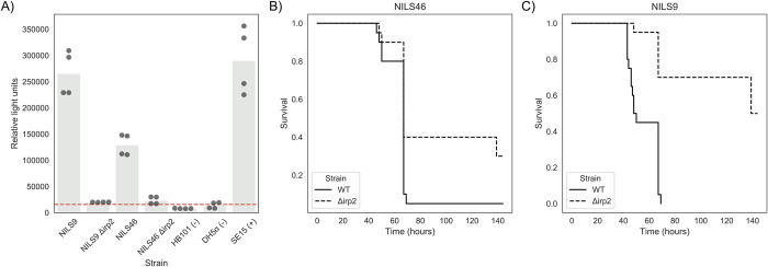 Fig 2