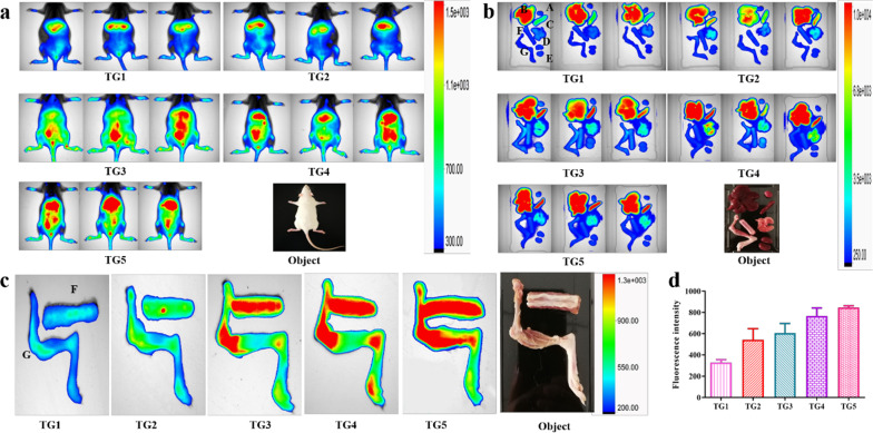 Fig. 7