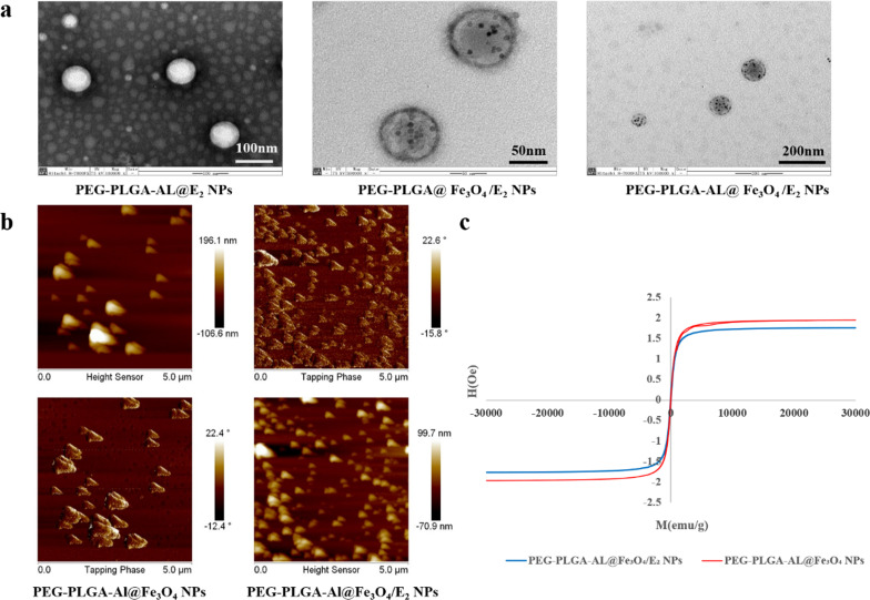 Fig. 3