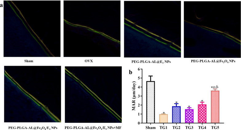 Fig. 12