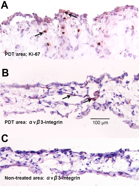 Fig. 4