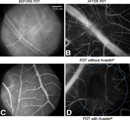 Fig. 6