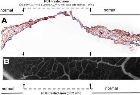 Fig. 3