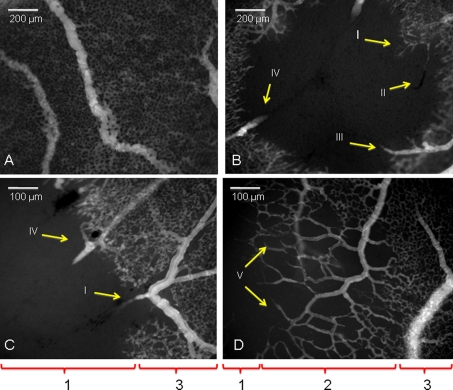 Fig. 2