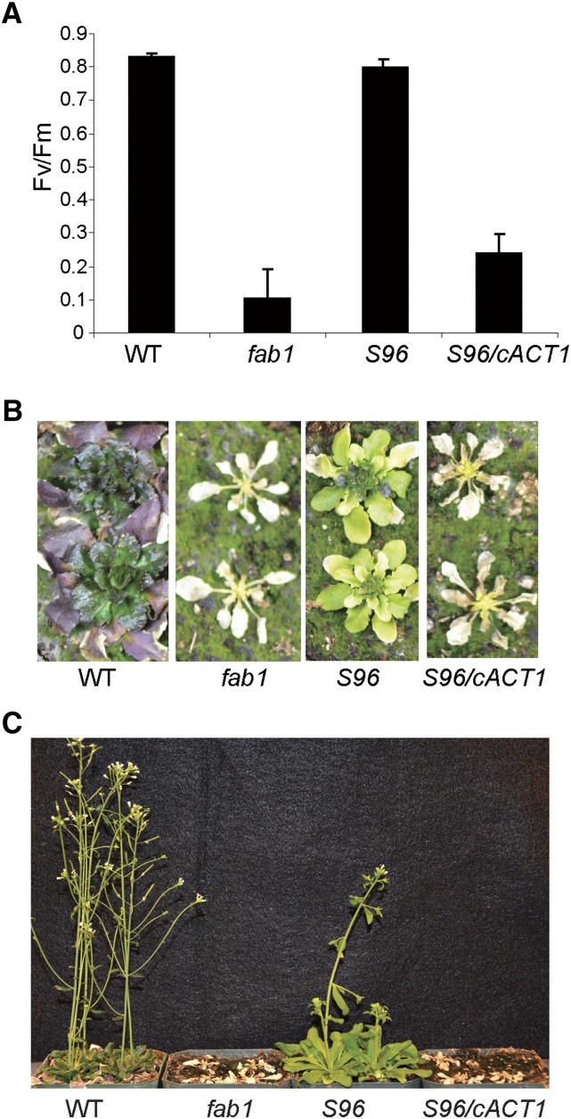 Figure 3.