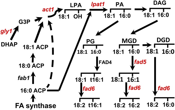 Figure 6.