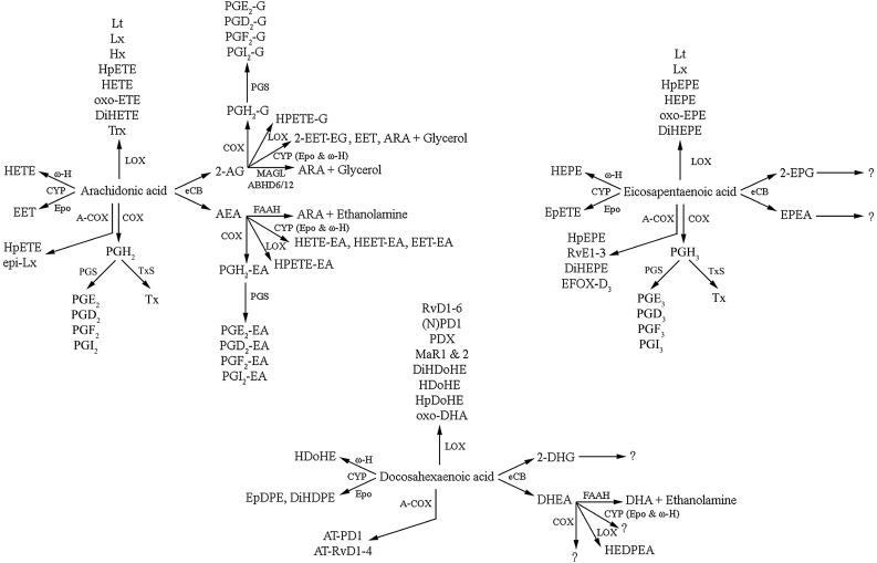 Fig. 2