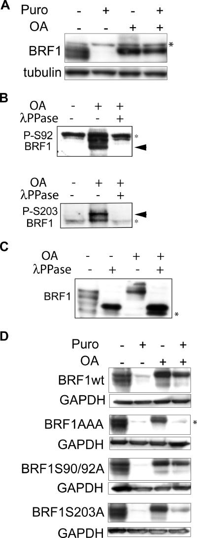 FIG. 5.