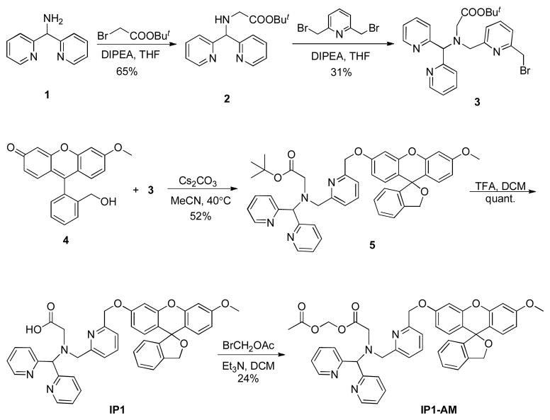 Scheme 2