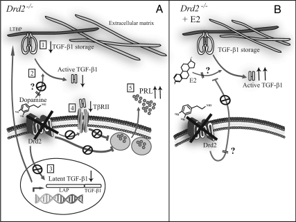 Fig. 6.