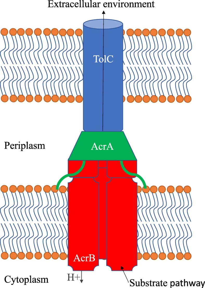 Fig. 1