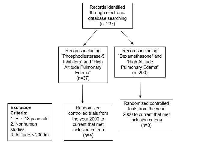 Figure 1 Article Eligibility Criteria