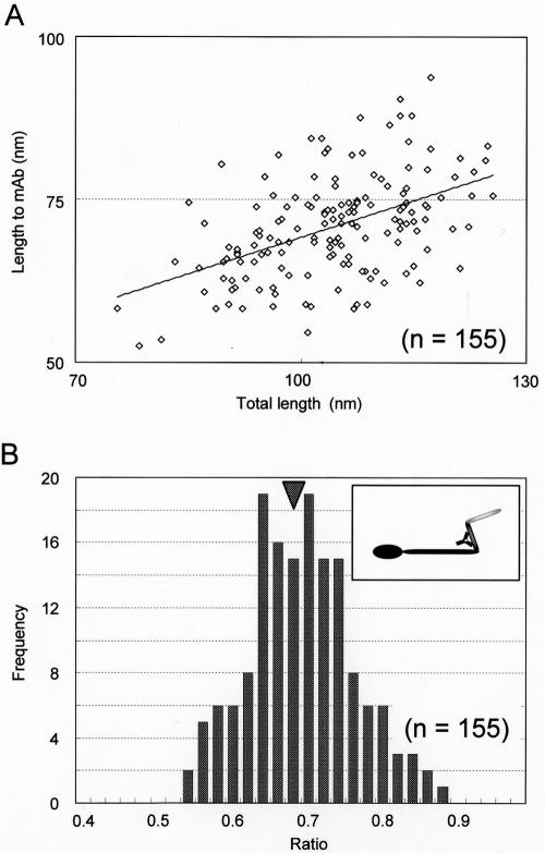 FIG. 7.