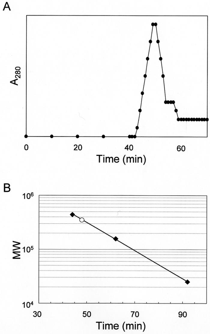 FIG. 2.