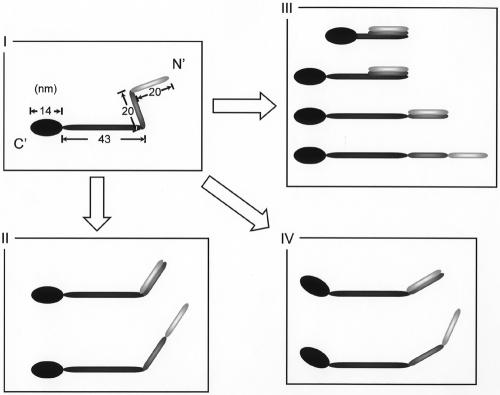 FIG. 8.