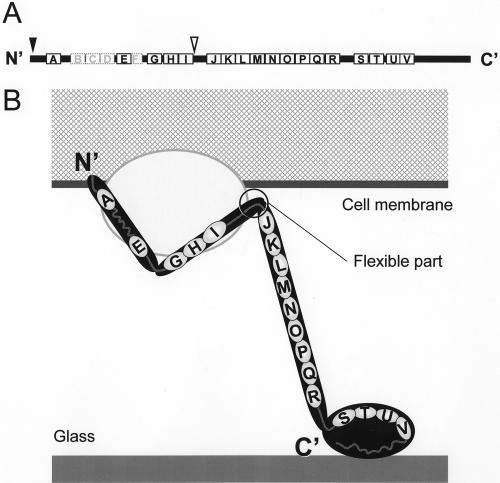 FIG. 9.