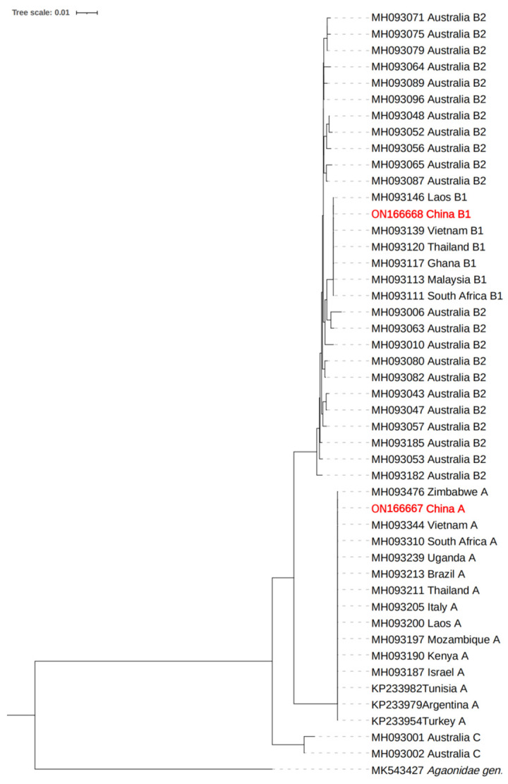 Figure 1