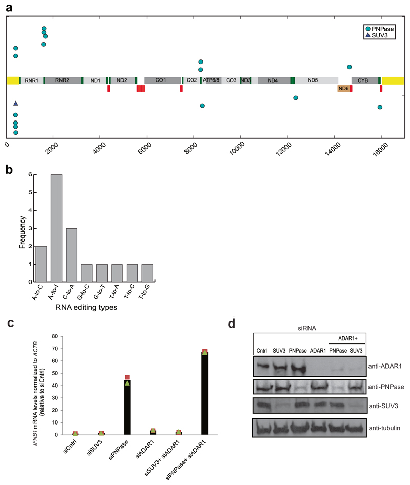 Extended Data Fig. 7